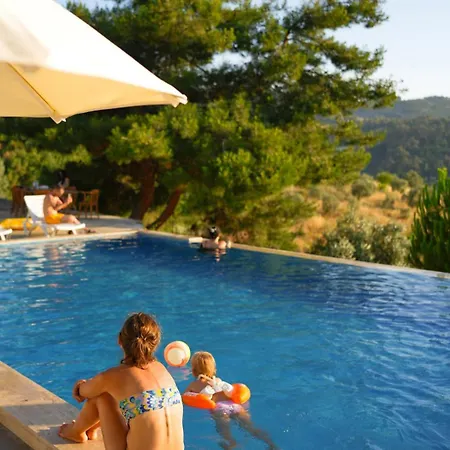 Sirince Citak Konaklari - 3 Bed and Breakfast Σελτσούκ